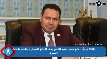 2350 جنيهًا.. رفع سعر توريد القمح يحفز الإنتاج المحلي ويقلص واردات السوق